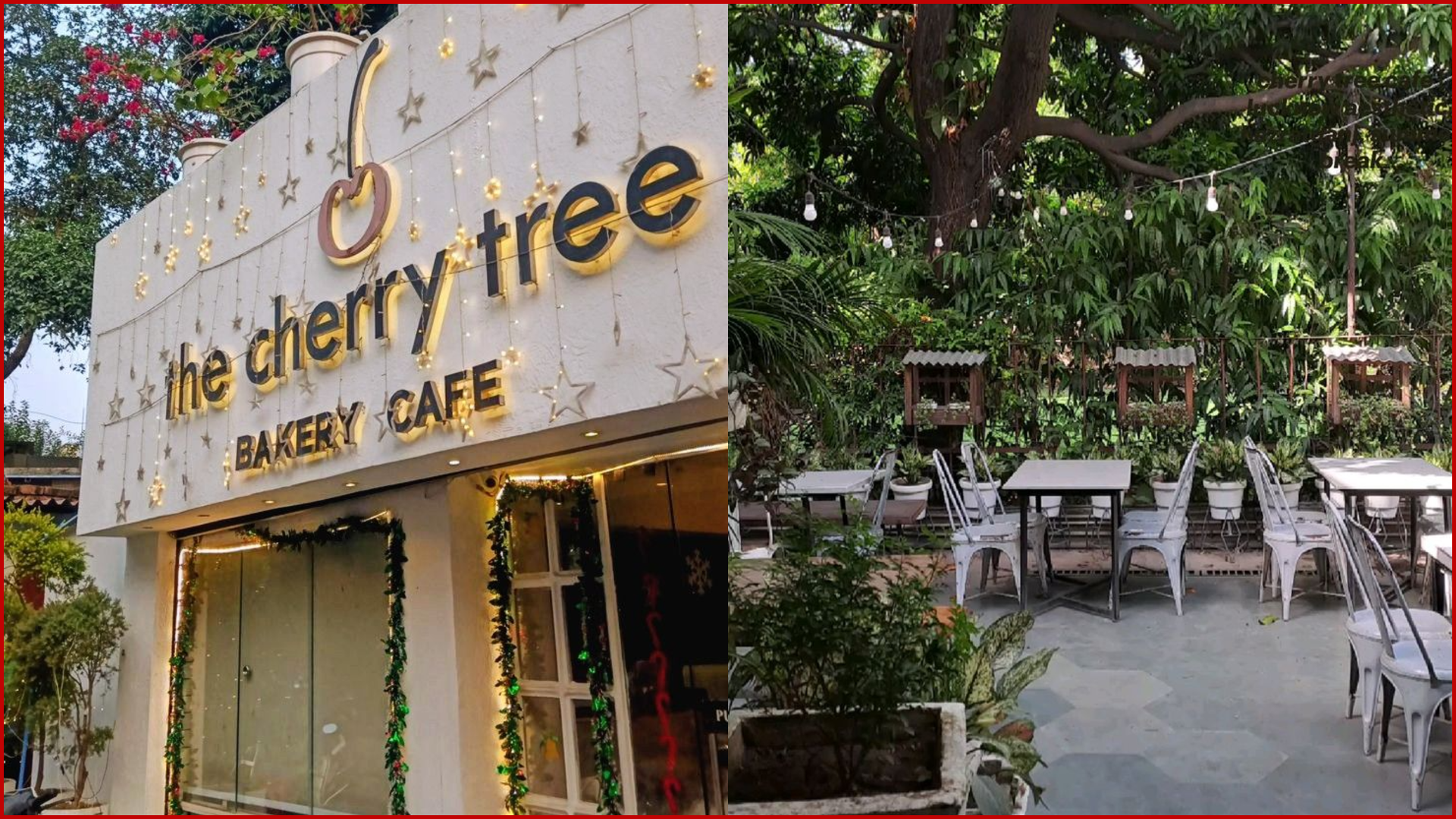 Best Café for Birthday Celebration in Lucknow, Cherry Tree Café