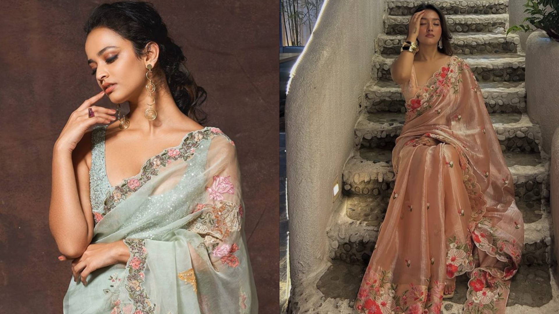 Soft Pastel Organza Saree